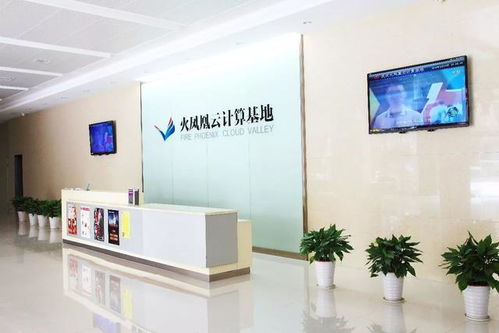 90后創(chuàng)業(yè)獲百萬天使投,年輕是優(yōu)勢(shì),也是劣勢(shì)